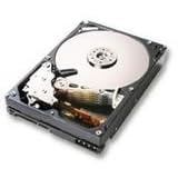 Hitachi Deskstar  1 TB SATA 3.5-Inch Hard Drive