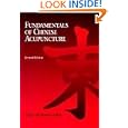 Fundamentals of Chinese Acupuncture (Paradigm Title) by Andrew Ellis, Nigel Wiseman, and Ken Boss