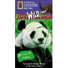 National Geographic Really Wild Animals Adventures in Asia [VHS]