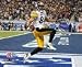 Pittsburgh Steelers Hines Ward in Endzone
