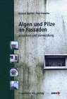 Algen und Pilze an Fassaden. Erkennung und Vermeidung