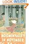 Moominvalley in November