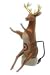 Hitch Critters Animated Deer Trailer Hitch Ball Cover
