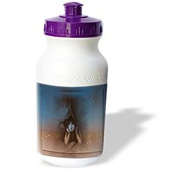 Susan Brown Designs Angels or Fairys Themes - Wistful Pixie - Water Bottles