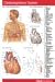 Book Cardiorespiratory System
