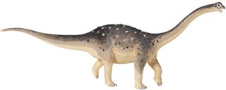 Childrens Toyshop  Toys : Carnegie Collection- Saltasaurus