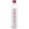 (お徳用ボックス) ナノクラスター水VIVO(ヴィボ) Beauty 500ml*24本