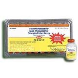 Fel-O-Vax IV (50 doses)