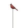 Cardinal Garden Pics