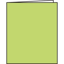 Childrens Toyshop  Toys : GREEN BLANK BOOK