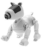 RoboDog USB WebCam with Microphone