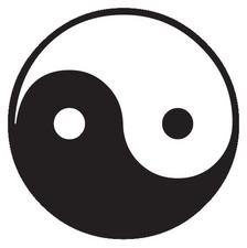 Yin Yang Die-Cut Photographic Magnet