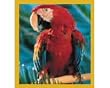 Magnetic Bookmark Macaw Red Scarlet Macaw