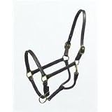HALTER TRACK ARABIAN 3/4 INCH, Color: BROWN; Size: HORSE (Catalog Category: Equine Tack & Other Equipment:HALTERS & LEADS: LEATHER)