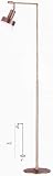 LAMPS BEAUTIFUL Contemporary Steel Floor Lamp by Litesource--Excellent customer service--see our feedback.