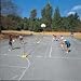 Sporting Goods : Tournament Pickle Ball Set