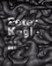 Peter Kogler (Art Catalogue)