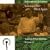 Southern Journey, Vol. 4: Brethren, We Meet Again - Southern White Spirituals