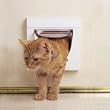 Petsafe Cat Flap Magnetic White 4Way