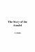 Books : The Story of the Amulet