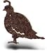 Quail Southwest Metal Magnet