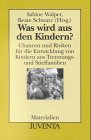 cover of Was wird aus den Kindern?: Chancen und Risiken für die Entwicklung von Kindern aus Trennungs- und Stieffamilien