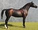 Breyer Traditional Bet Yer Blue Boons - Roan AQHA