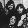 Image of The Turtles
