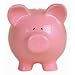 Piggy Bank Die-Cut Photographic Magnet