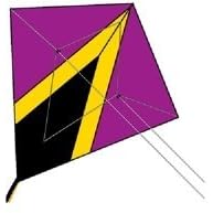 StuntDiamond™ Dual Control Nylon Kite: Kaos by X-Kites