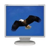 19' 1440X900 White  LCD