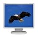 19" 1440X900 White  LCD