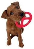 Omega Paw Orbit Flying Disc Dog Toy Omega Paw Orbit Flying Disc Dog Toy