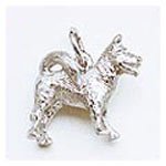  : Dog, Akita Charm