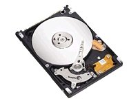 Seagate Momentus 5400.3 ST980811AS - Hard drive - 80 GB - internal - 2.5