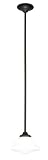 Hudson Valley 3409-OB, Petersburg Round Pendant, 1 Light, 75 Total Watts, Bronze