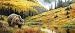 Rocky Mountain Grizzly rear window graphic