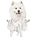 Samoyed Adult T-Shirt