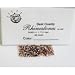 Rhinestones Gold 1440 Pcs.