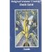 Tarot - Weisheit, Divination, Kunst, Sammlerst�cke