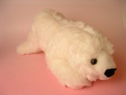 ���襤�������餫�� ưʪ�̤������ WHITE BEAR