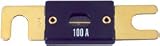 100A GOLD PLATED WAFER FUSE