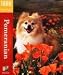   - Pomeranian 1000pc Puzzle