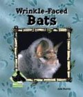 Wrinkle-Faced Bats (Animal Kingdom)
