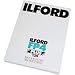 Ilford FP4 Plus Fine Grain Medium Speed Black and White Film, ISO 125, 4 x 5