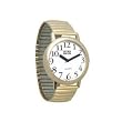 Low Vision Watch - Expansion Band