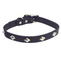 Circle T Diamond Stud Leather Collar- 3/4" width