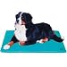 Canine Cooler Large Pet Bed