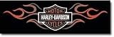 DOUBLE FLAME BAR & SHIELD 66X29 HARLEY-DAVIDSON REAR WINDOW DECAL