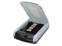 Epson Perfection 2450 Photo - Flatbed scanner - Letter - 2400 dpi x 4800 dpi - Hi-Speed USB / Firewire